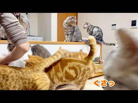 ちょっとお尻がにおったけど平和だったごはんタイム。 サムネイル