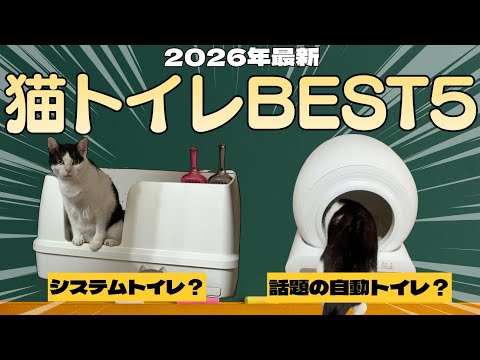 【コスパの鬼が解説します。】2026年最新版 “猫トイレベスト5”