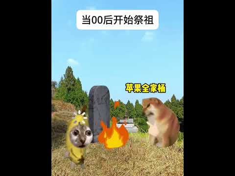 当00后开始祭祖！ 有趣 猫meme 猫meme剧场 猫meme小剧场 内容过于真实  故事 貓 猫猫meme小剧场…