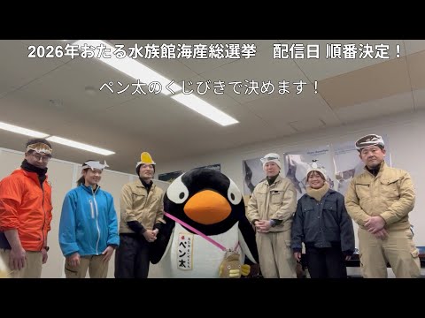 おたる水族館海産総選挙　配信日決定！ サムネイル