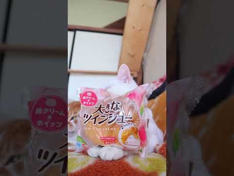 大きなツインシュー　桃クリーム＆ホイップ　260531　 cat のせ猫 cute　 桃クリーム＆ホイップ ねこ しろ…