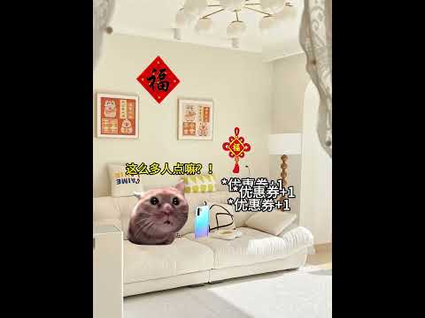 有幸点到过一次😁 有趣 猫meme 猫meme剧场 猫meme小剧场 内容过于真实  故事 貓 猫猫meme小剧场 喵… サムネイル