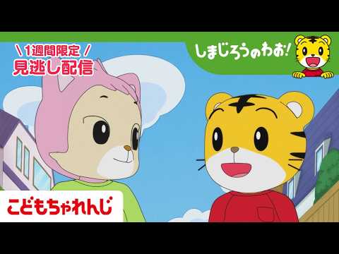 【見逃し配信】テレビ番組「しまじろうのわお！」 3月21日放送 ｜にいすけくんを たすけろ！｜716【しまじろうチャン… サムネイル