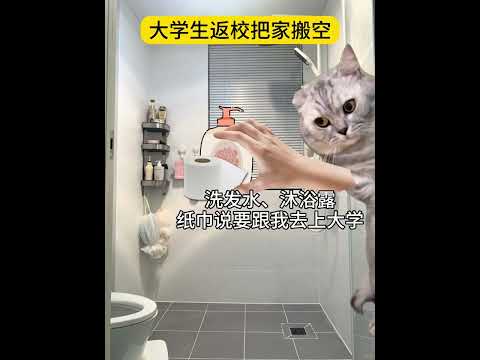 我妈：你走了家里空落落的 有趣 猫meme 猫meme剧场 猫meme小剧场 内容过于真实  故事 貓 猫猫meme小…