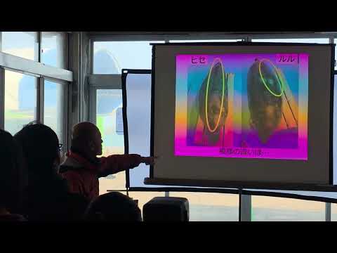 アザラシ強化月間　アザ塾実技編　ワモンアザラシの見分け方（座学）