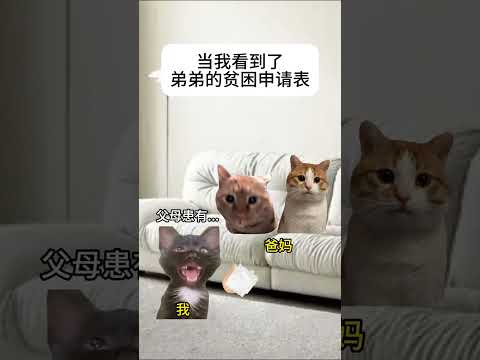 当我看到了弟弟的贫困申请表 有趣 猫meme 猫meme剧场 猫meme小剧场 内容过于真实  故事 貓 猫猫meme… サムネイル
