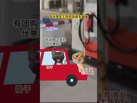 大学生工作前后给车加油区别 有趣 猫meme 猫meme剧场 猫meme小剧场 内容过于真实  故事 貓 猫猫meme… サムネイル