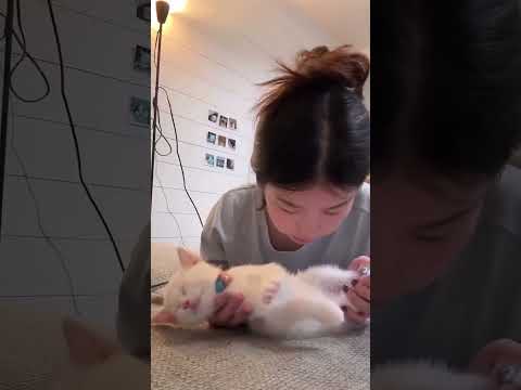 天使かと思った…!