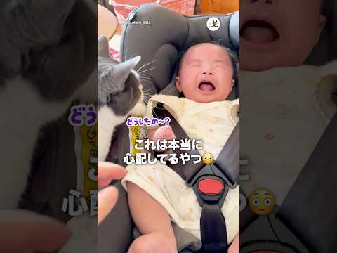 これは本当に心配してるやつ｜PECO サムネイル