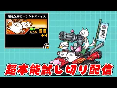 【にゃんこ大戦争】Lv60ピーチジャスティス…超本能…何も起きないはずがなく…試し切り生配信 サムネイル