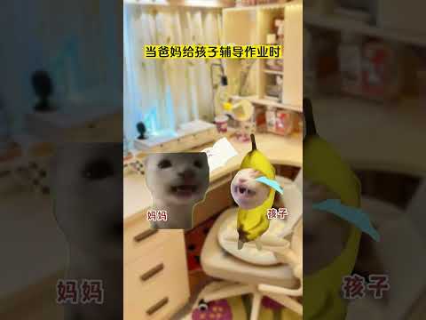 当爸妈给孩子辅导作业时有趣 猫meme 猫meme剧场 猫meme小剧场 内容过于真实  故事 貓 猫猫meme小剧场… サムネイル