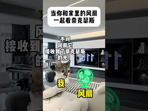 当你和家里的风扇一起看奈克瑟斯#有趣 #猫meme #猫meme剧场 #猫meme小剧场 #内容过于真实  #故事 #…