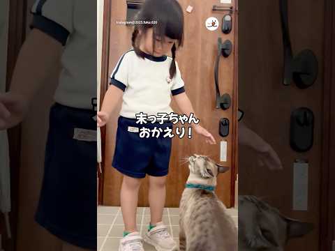 末っ子ちゃんに抱っこを求める猫さん｜PECO