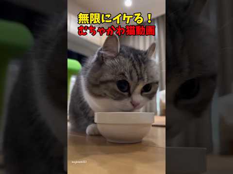 これは無限だわ…☺ サムネイル