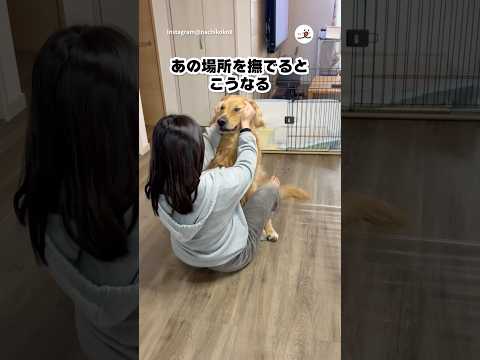 あの場所を撫でると…｜PECO サムネイル