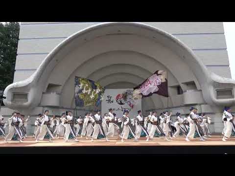 東京よさこい　なな丸隊＠2026　原宿スーパーよさこい