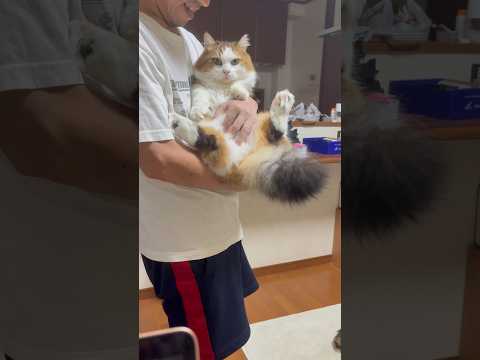 何やったん？