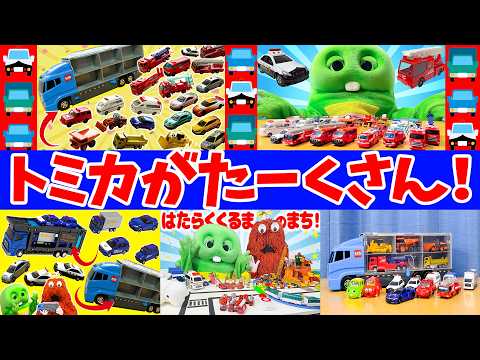 【トミカ】おうちのトミカぜーんぶ出してあそぼう！トミカ はたらくくるま パトカー 消防車 救急車 おもちゃおかたづけコ… サムネイル