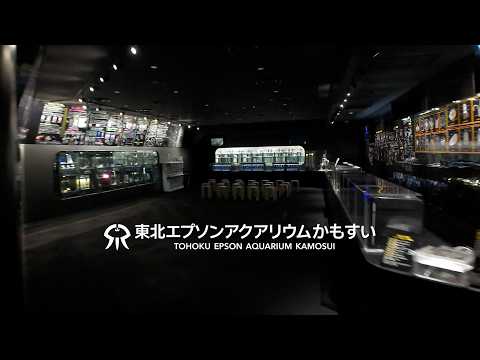 【凝縮3分】世界最大級のクラゲ水族館！『東北エプソンアクアリウムかもすい』の紹介 サムネイル