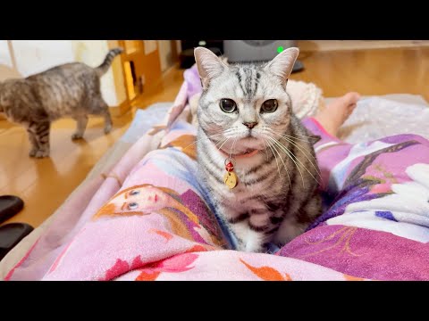 『本日のあいちゃん』の撮影をしてたら後ろでポッポちゃんが突然... サムネイル