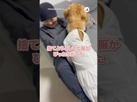 すごく似合ってる！！！😍｜PECO サムネイル