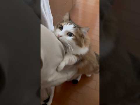 もっとユッサユッサして