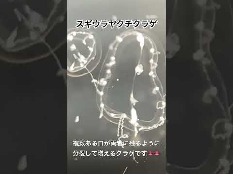 2026年5月11日