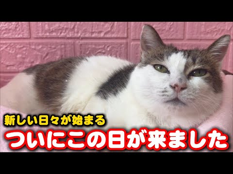 ついにこの日がやってきました！ サムネイル