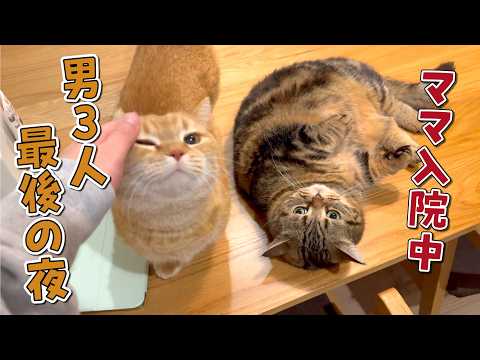 ママの入院中、一番寂しがっていたのはまさかの…！？ サムネイル