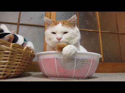 うずまきLIVE配信？　放置？　朝まで？　2026年3月15日 サムネイル