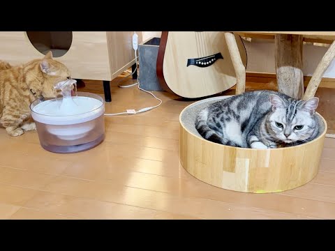 あいちゃんを怒らせてしまった結果... サムネイル
