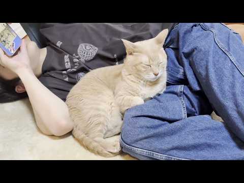 仲の良い姉弟みたいに育ってくれた息子と猫
