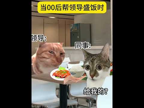 当00后帮领导盛饭时 有趣 猫meme 猫meme剧场 猫meme小剧场 内容过于真实 故事 貓 猫猫meme小剧场…