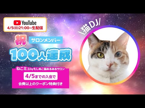【オンサロ100人達成記念！】猫好きしか分からないDJ｜猫あるあるソング サムネイル