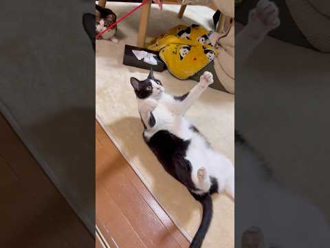 あれ？どこいった？ サムネイル