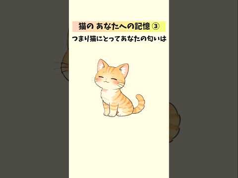 猫が一生忘れない飼い主の記憶【10選③】 猫 雑学 豆知識 トリビア 音声「VOICEVOX：ずんだもん」さん サムネイル