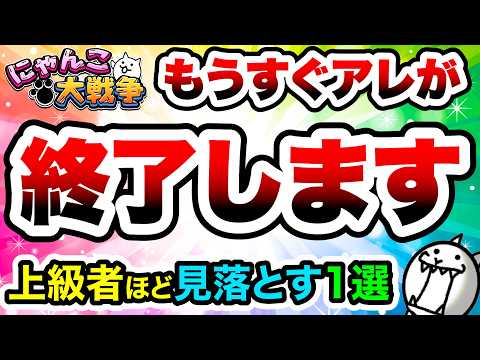 もうすぐ終了！マジで損しないために注意！上級者ほど見落として損すること1選　にゃんこ大戦争 サムネイル