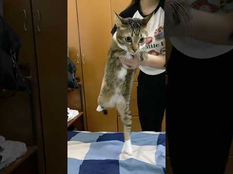 Perfect timing. サムネイル