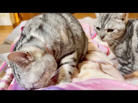 不整脈の夜にみんなが寄り添ってくれて思ったこと。 サムネイル