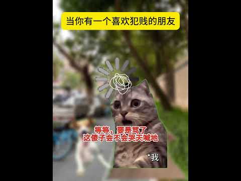 当你有个爱嘴贱的朋友…… 有趣  猫meme 猫meme剧场 猫meme小剧场 内容过于真实  故事 貓 猫猫meme… サムネイル