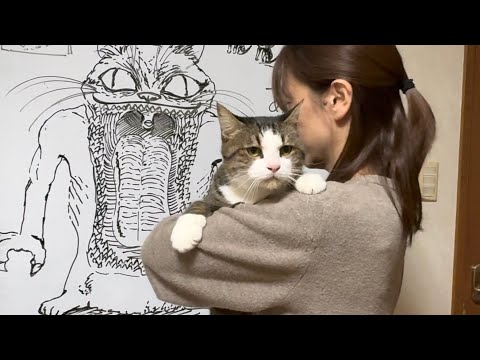 お父さんが帰りが嬉しくて擦って舐める猫 サムネイル