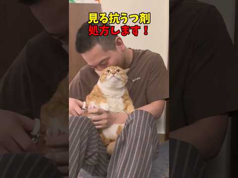 鬱も吹っ飛ぶ⭐︎ 猫 cat cats cute サムネイル