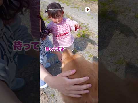 触りたいけど勇気がでない2歳児｜PECO