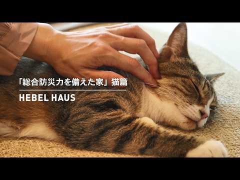 HEBEL HAUS｜ペットが幸せ、というしあわせ。 サムネイル