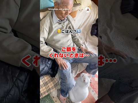 大好きなおじいちゃんへごはんの圧をかける｜PECO