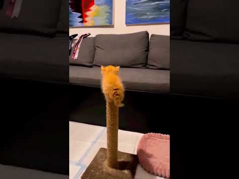 ねぇ、こっち向いて?😍