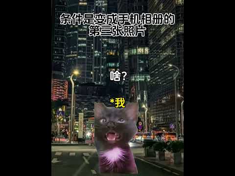 选项二的代价是，变成手机里第3图片 结果 有趣 猫meme 猫meme剧场 猫meme小剧场 内容过于真实  故事 貓… サムネイル