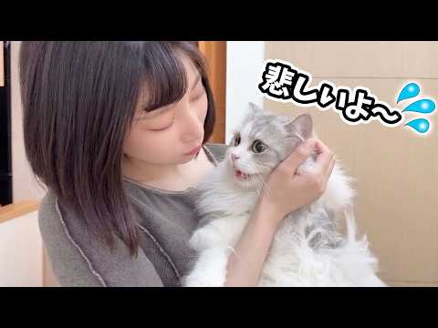 とある事情で子猫がガチで凹んじゃいました…汗