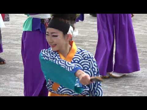 総踊り～この地へ～＠2026　サクラタウンよさこい～春の特別祭～ サムネイル