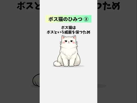 【ボス猫の豆知識🐈】見た目は怖いのになぜか慕われるボス猫の秘密②【計50選】 猫 雑学 トリビア ボス猫 音声「VOI… サムネイル